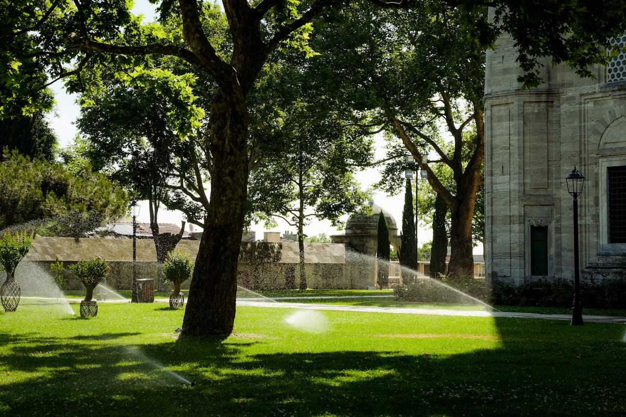 hero-img-02 A lush courtyard with sprinklers and trees on a sunny day, creating vibrant shadows and textures.