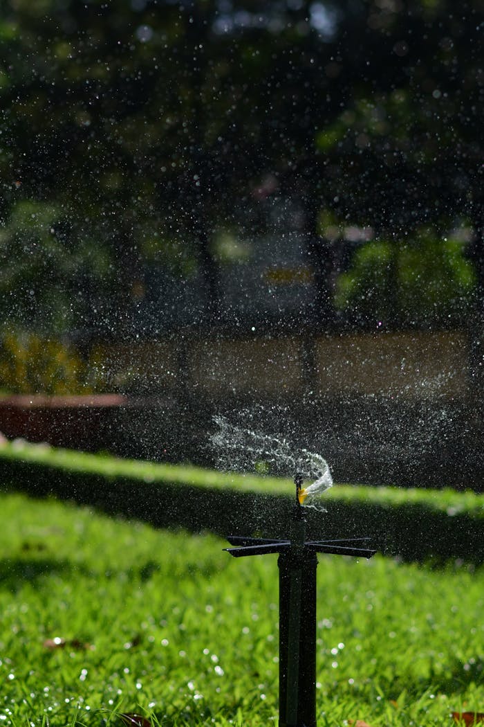 hero-img-01 A backyard sprinkler spraying water creating a shimmering effect in the sunlight.